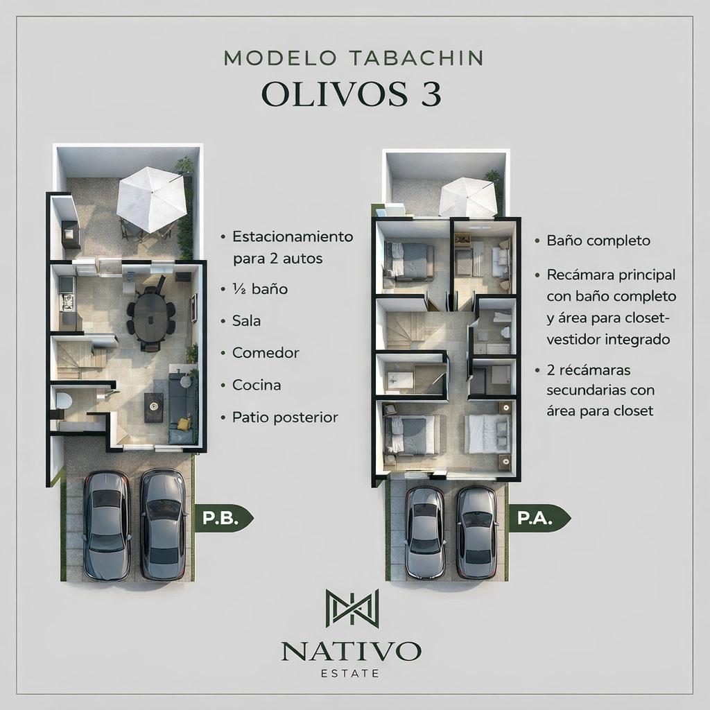 Olivos Tabachin